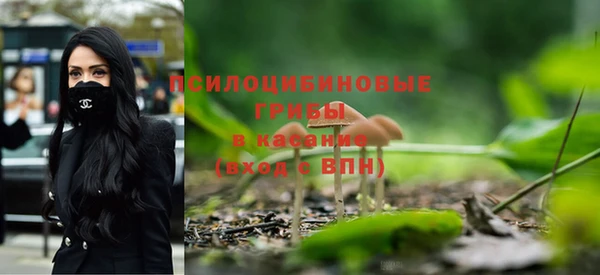 соль курить ск Белокуриха