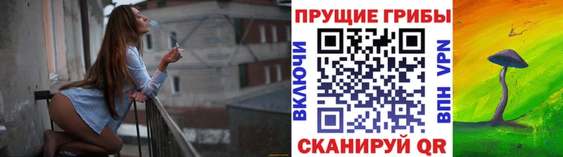 гидра онион  Юрюзань  Галлюциногенные грибы мицелий  цена  